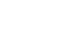 Mitchell & Russell Audiophile Cable Company